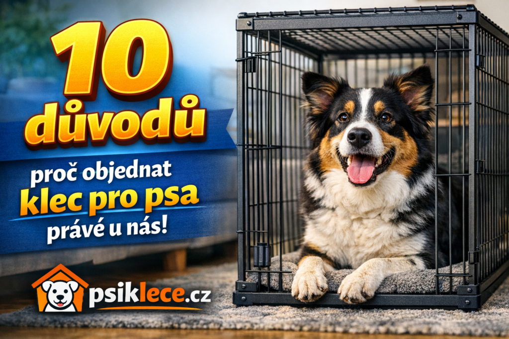 10 důvodů, proč objednat klec pro psa právě u nás (psiklece.cz)