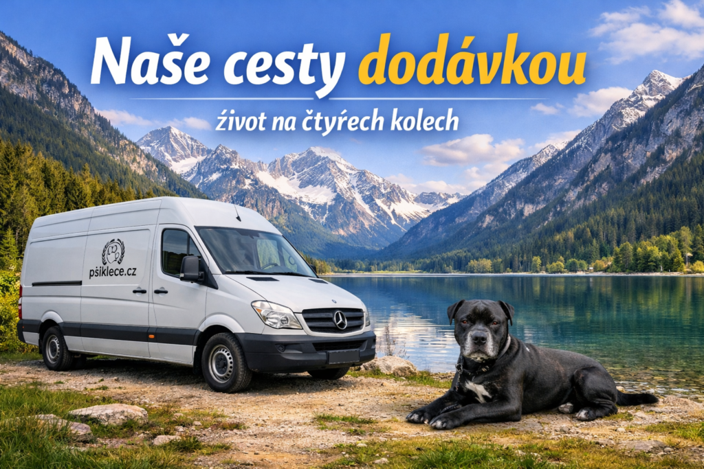Mercedes Sprinter na cestách zaparkovaný u horského jezera se psem – vanlife cestování